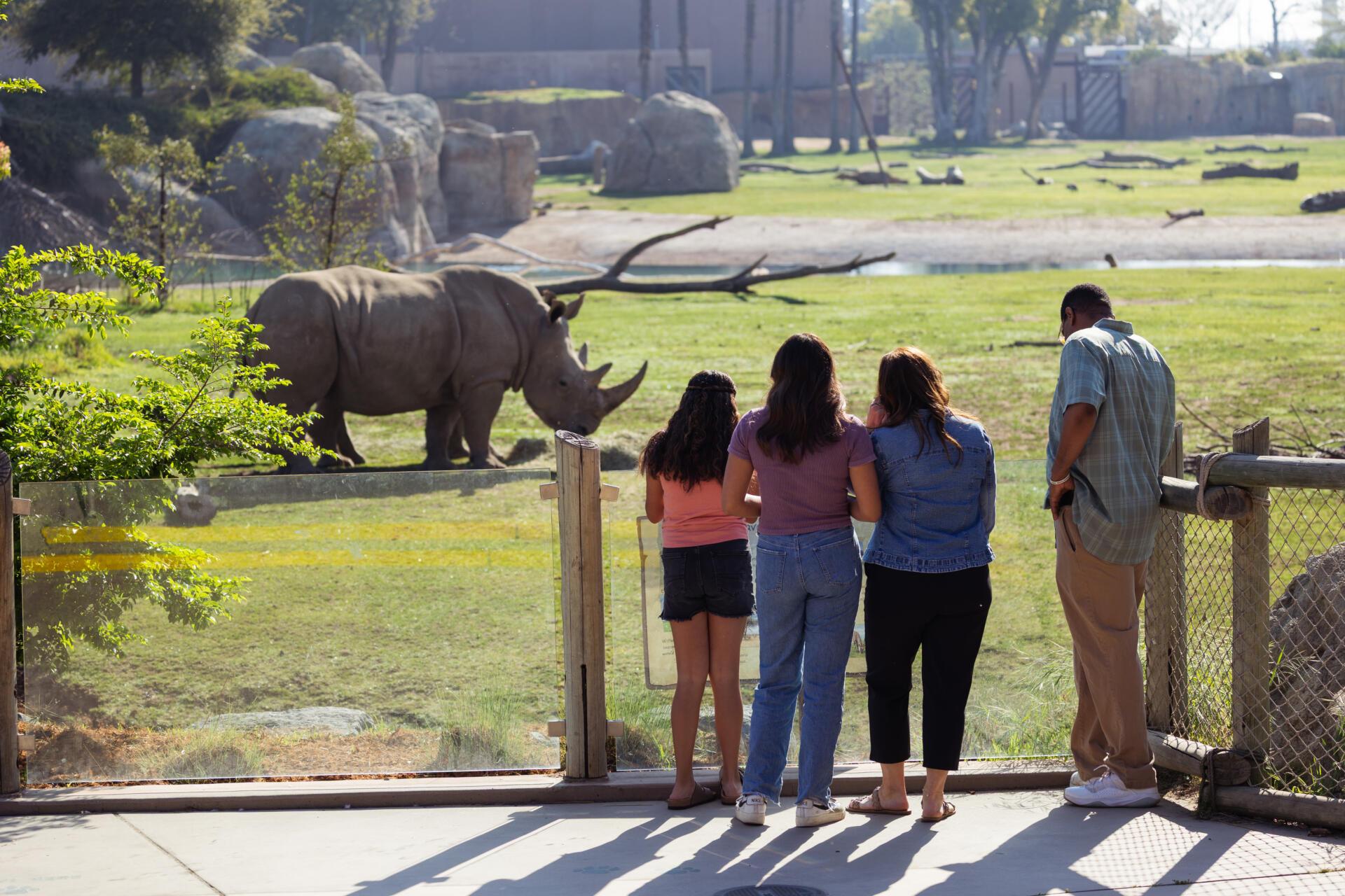 Your Ultimate Guide to an Unforgettable Zoo Visit